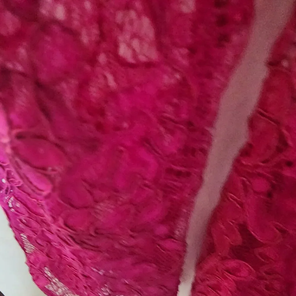 Carmen Marc Volvo fuschia lace dress - Picture 5 of 9